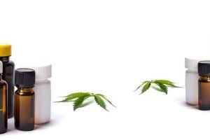 Cannabis Product Label Market Booming