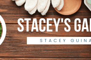 International Women's Month - Stacey's Garden
